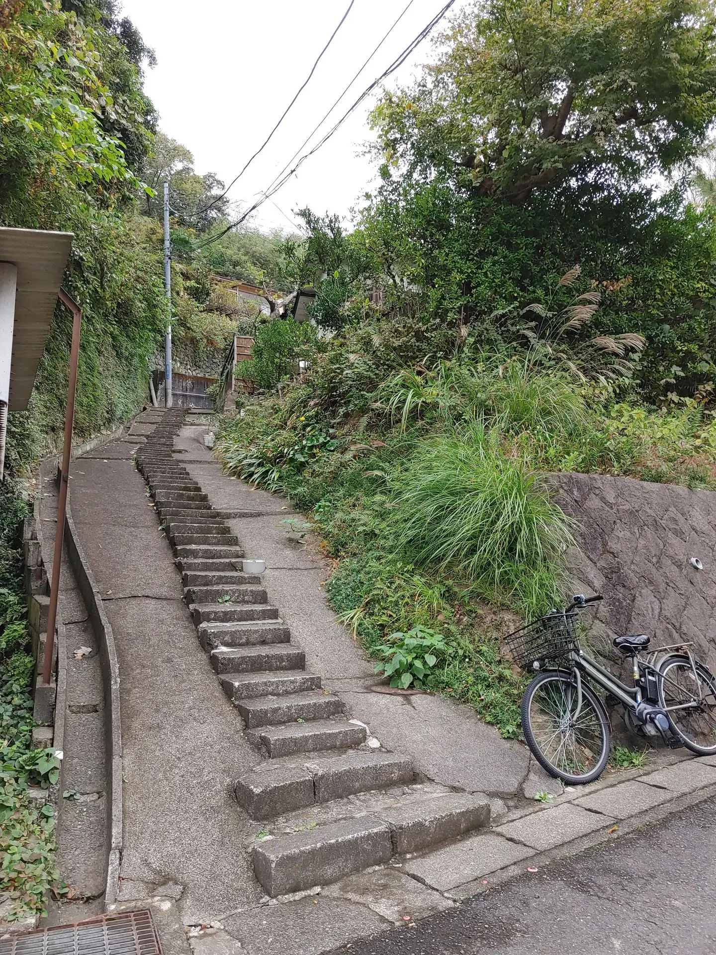 Kamakura chill