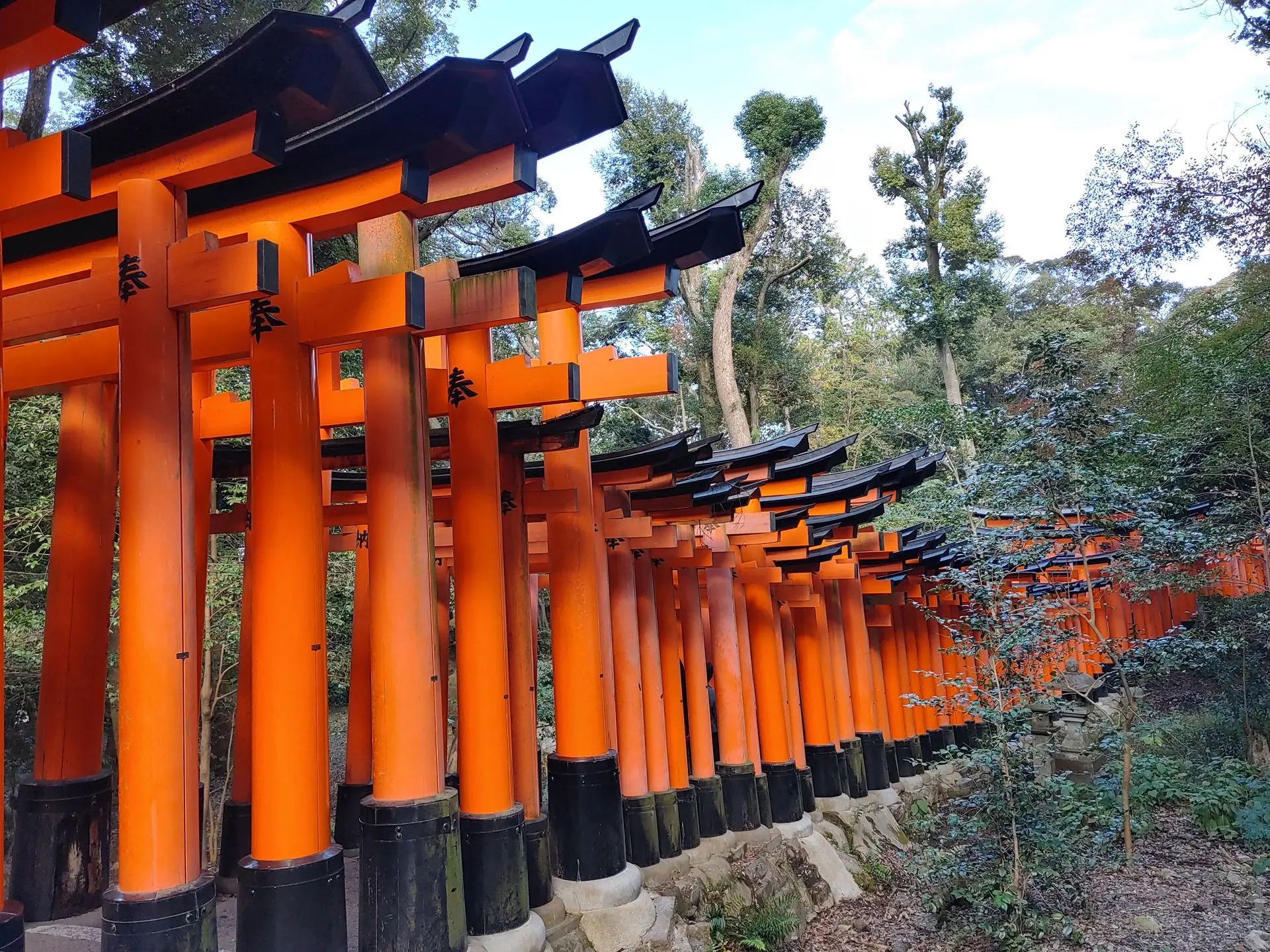 Fushimi Inari